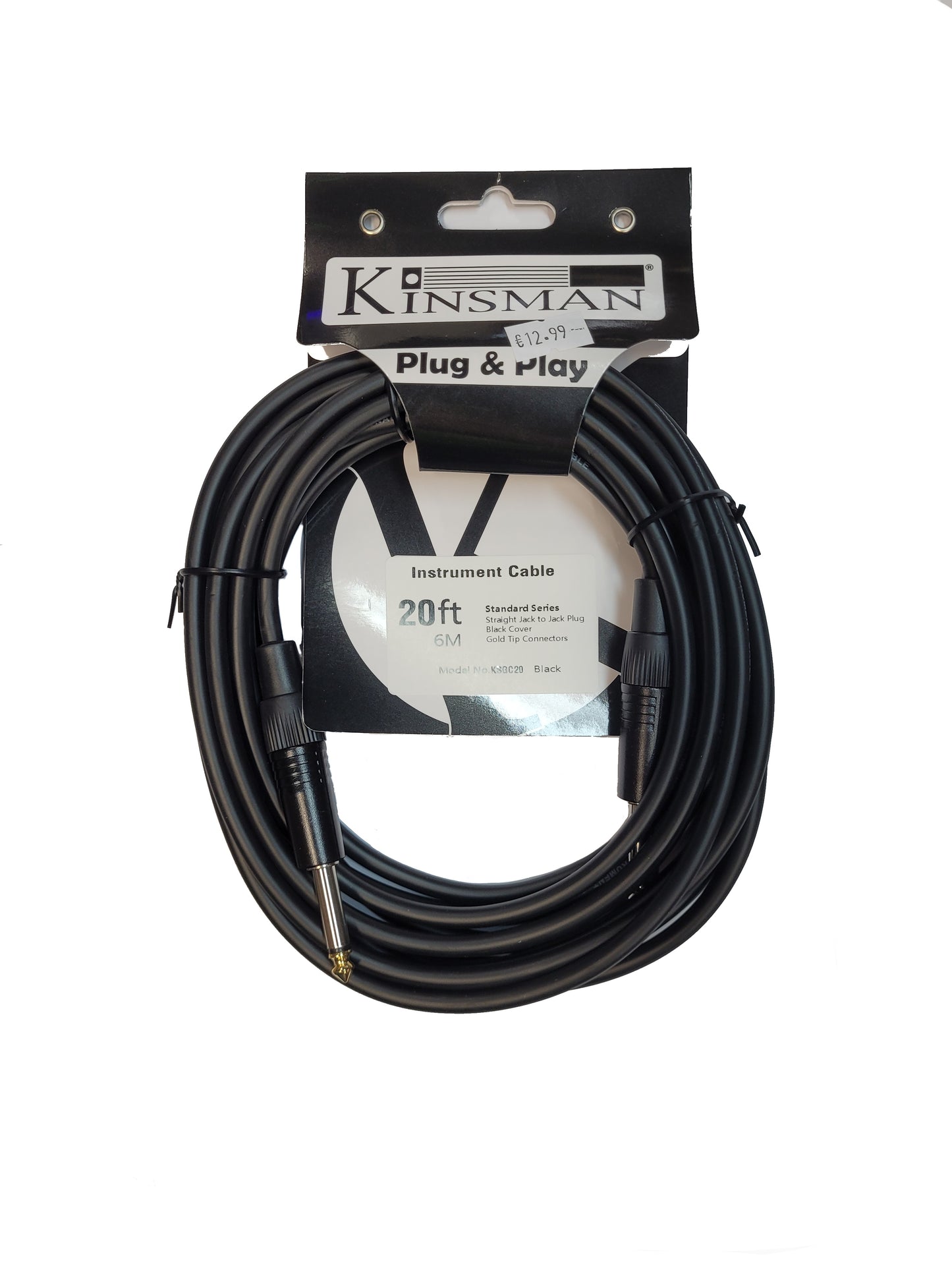 Kinsman 20ft Instrument Cable