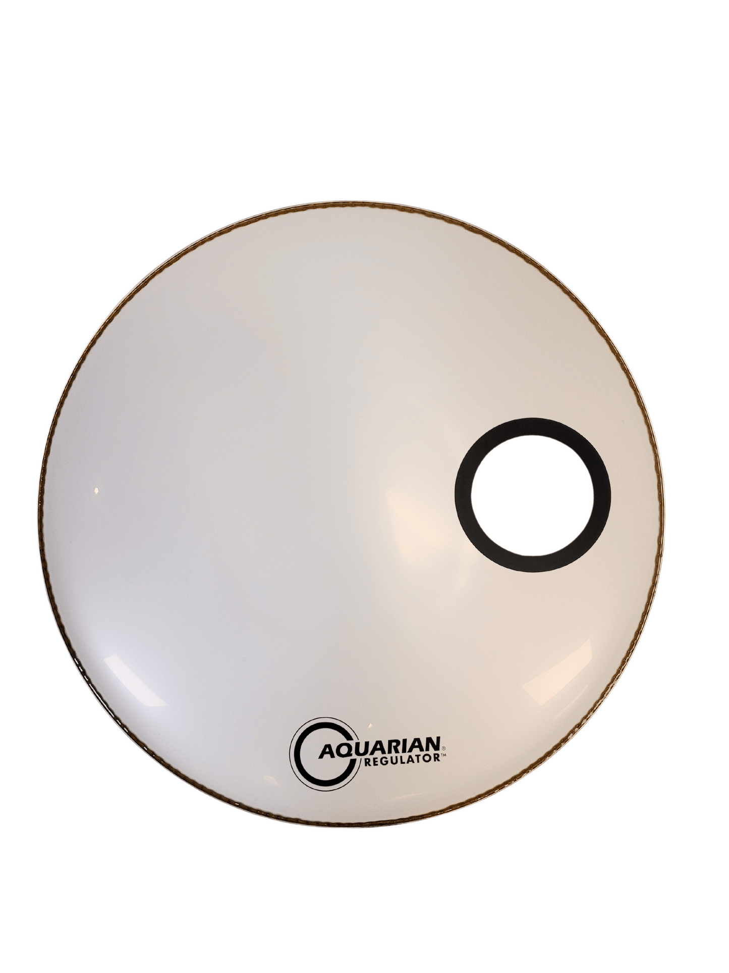 AQUARIUM drum heads